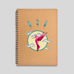 Virtual Hummingbird notebook
